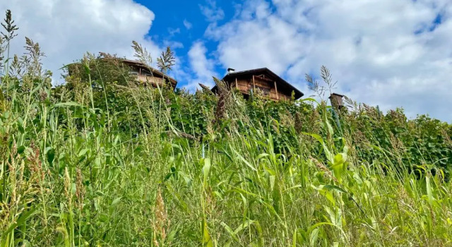 Maso Fallmerayer - Fallmerayerhof