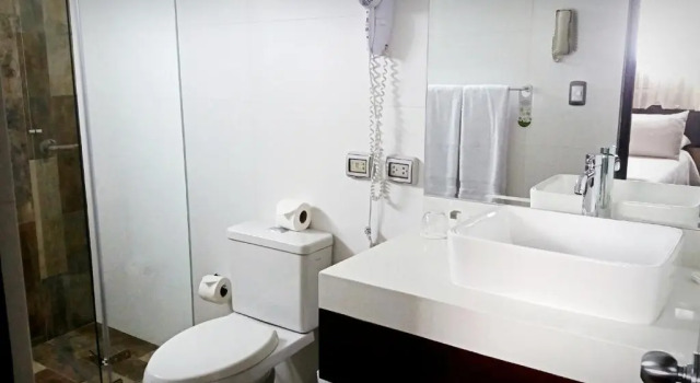 Двухместный номер Standard Hotel Carrera
