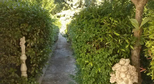 Casa Vacanze Valle d'Itria, Book Lejlighed Cisternino Valle d'Itria