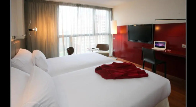 Двухместный номер Standard Hotel Reina Petronila
