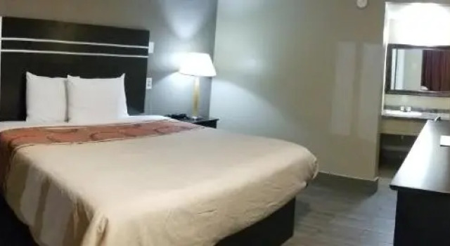 Номер Standard Executive Inn