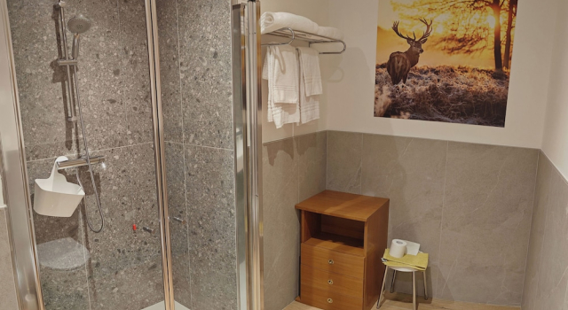 Номер Superior Hotel Moena