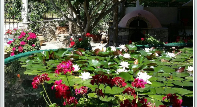 Amazing Cottage Close From the sea - Crete