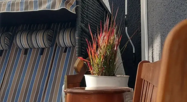 Коттедж Standard Pension Zur Kirchsee