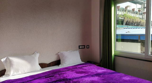 Двухместный номер Standard Hotel The Raja Palace