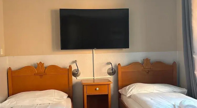 Четырёхместный номер Standard с балконом Hotel Rheinfall