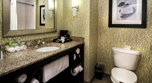 Номер Standard с балконом Holiday Inn Express Conway by IHG