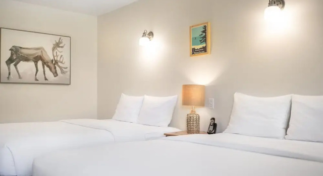 Четырёхместный номер Standard West Coast Trail Lodge
