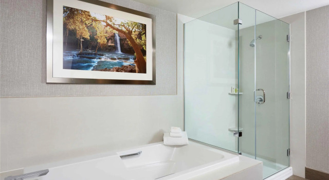 Двухместный люкс Presidential с 2 комнатами DoubleTree by Hilton Hotel Flagstaff