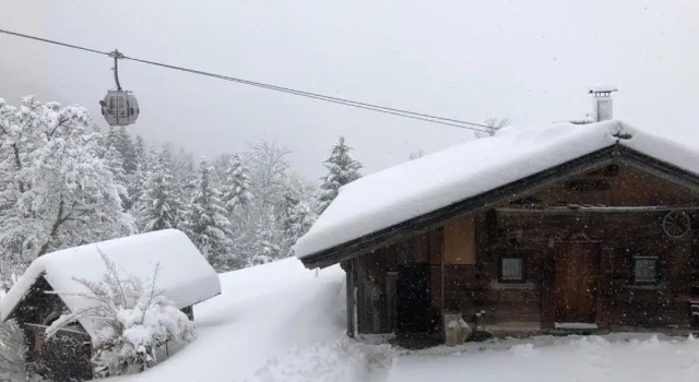 Апартаменты Wölzenberg Alm