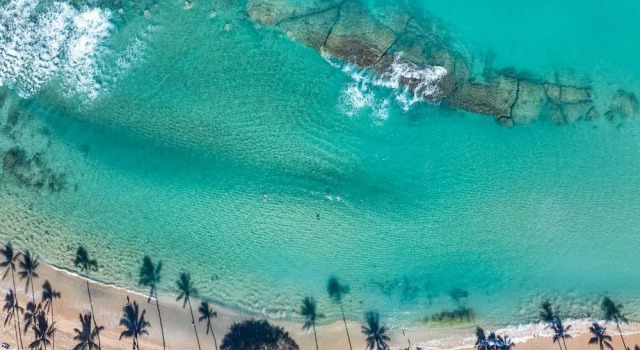 Апартаменты Napili Shores H262 in Lahaina