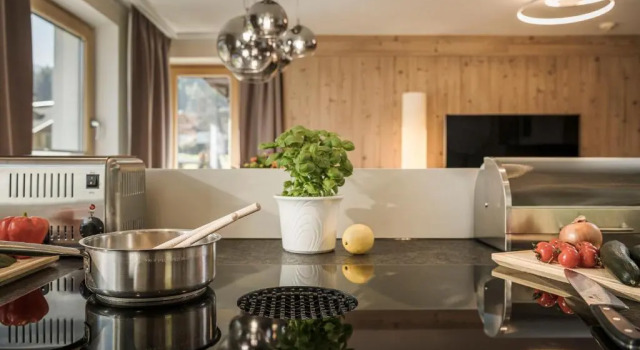 Студия с видом на горы Hotel Finkenbergerhof