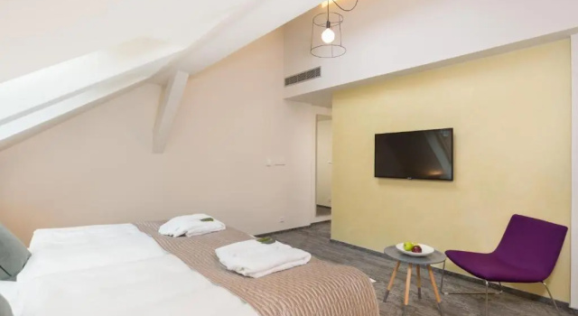Двухместный номер Standard Fairhotel