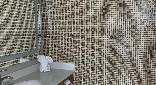Двухместная студия SpringHill Suites by Marriott Houston Baytown