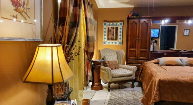 Люкс Dickinson Guest House, Guadalajara Expo