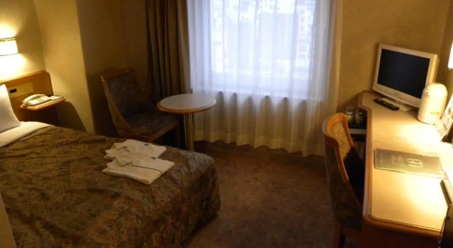 Двухместный номер Standard Hotel New Green Okachimachi