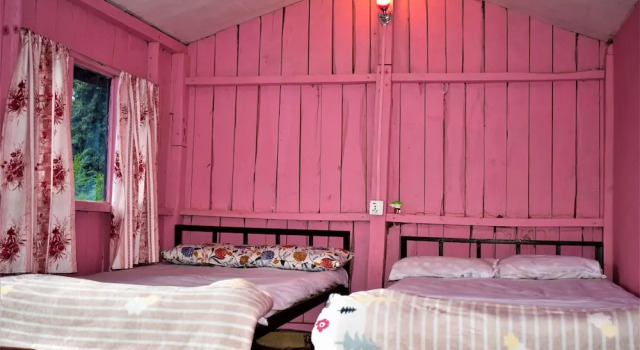 Двухместный семейный номер Standard Jungle Crown Organic Homestay