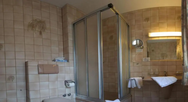 Двухместный номер Standard Hotel Restaurant Bären