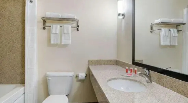 Люкс Econo Lodge Inn & Suites Springfield Main Street