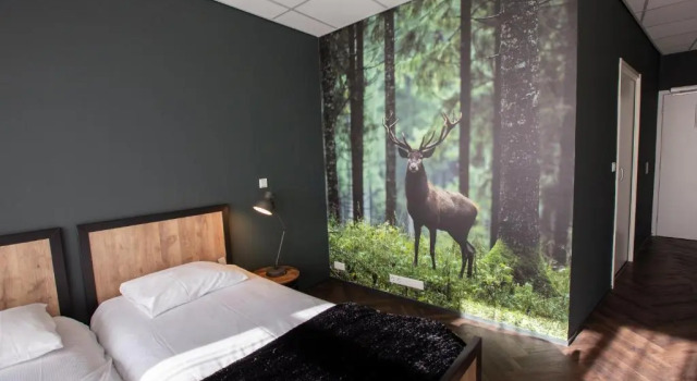Двухместный номер Standard с балконом Hotel Spelderholt