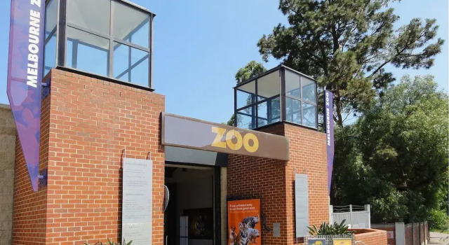 Comfy One-bedroom Unit Between City and Airport, Book Apartment Melbourne 