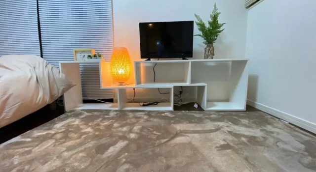 Двухместный номер Standard Base Hanegi Apartment by Tranova