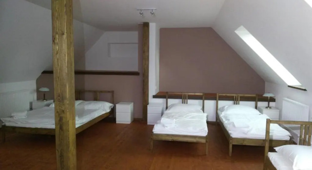 Семейный люкс Hotel U Zeleneho stromu