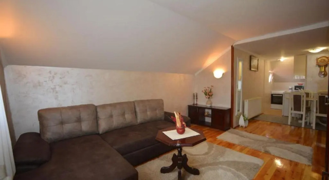 Apartment Vihor