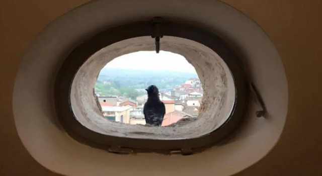 Двухместный номер Standard с балконом La Casa nel Borgo Antico