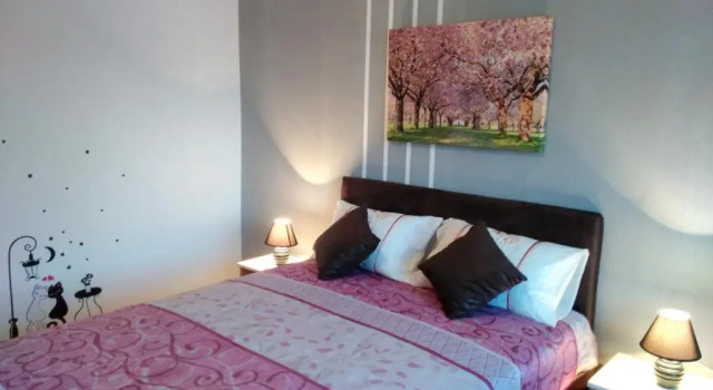 Apartment Premija