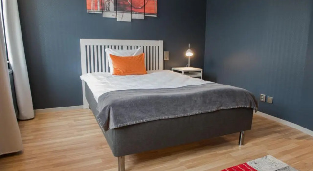 Одноместный номер Standard Hotel Stensson