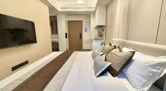 Люкс Earl Shijia Executive Apartment (Shenzhen North Railway Station Vanke Hesongxuan Branch)