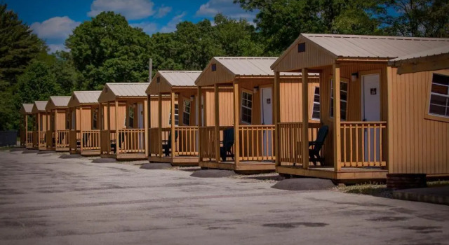 Четырёхместный номер Standard Natura Treescape Resort