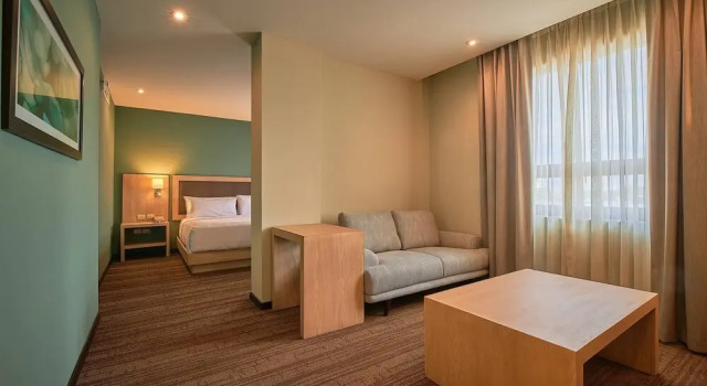 Полулюкс Wyndham Garden Saltillo