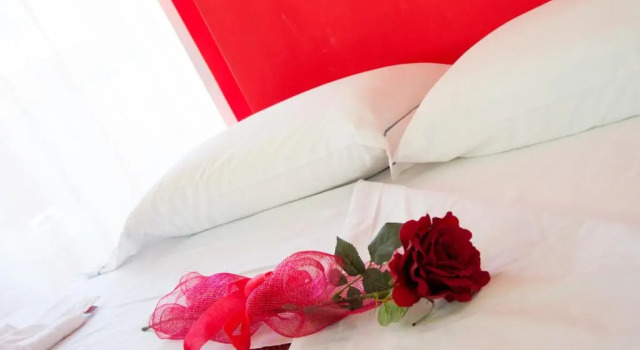 Номер Deluxe Minihotel IRIS