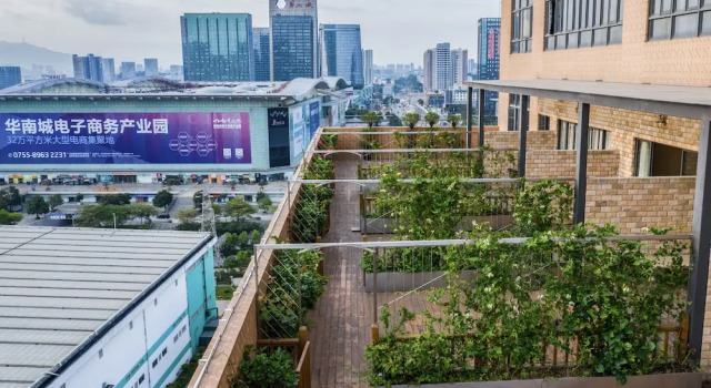 Номер Standard Green Oriental Hotel (Shenzhen Pinghu South China City Hehua subway station)
