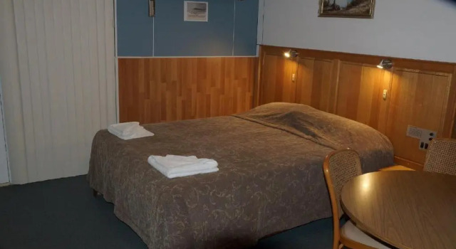 Люкс Deluxe Golden Leaf Motel