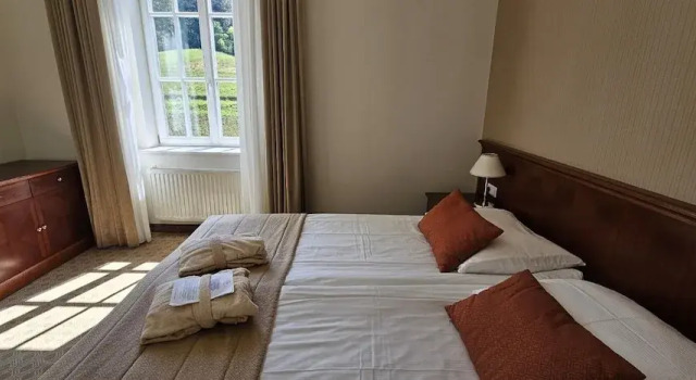 Трёхместный номер Premium Отель Grand Hotel Rogaška