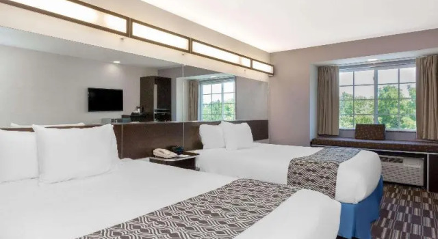 Номер Standard Microtel Inn & Suites by Wyndham Tuscaloosa Near University