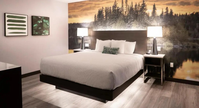 Люкс Отель Cambria Hotel Shelby Township - Detroit Utica