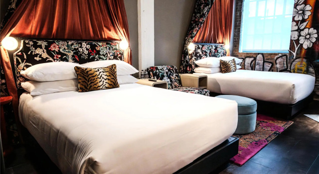 Номер Standard The Radical Asheville, Tapestry Collection by Hilton