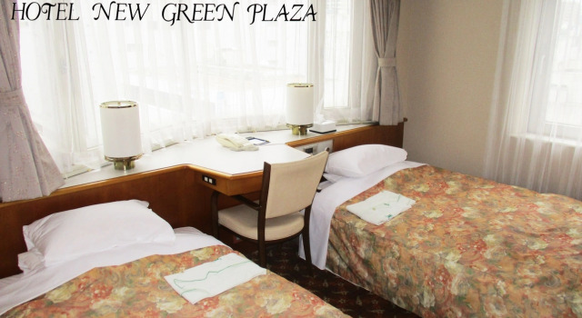 Двухместный номер Standard Hotel New Green Plaza