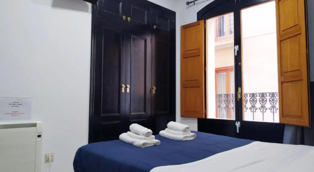 Двухместный номер Standard Flats Friends Plaza de la Reina