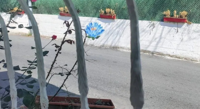Номер Standard Lotus Restaurant & Home