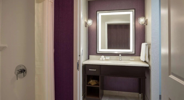 Двухместный люкс c 1 комнатой Homewood Suites by Hilton Needham Boston