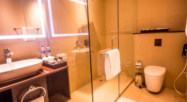 Двухместный номер Executive Carnelian Muscat - Airport Hotel