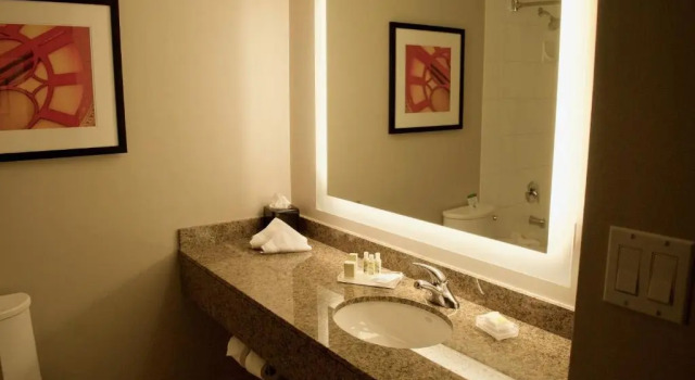 Номер Standard Holiday Inn Vancouver Airport Richmond by IHG