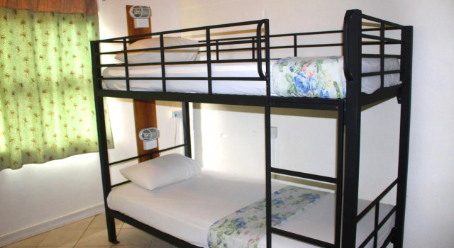 Кровать в общем номере Bamboo Backpackers