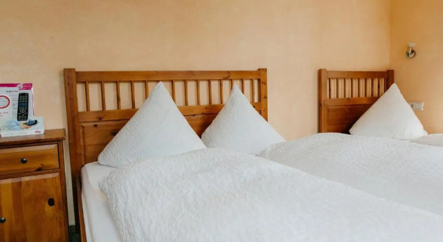 Трёхместный номер Standard Landhotel Airport-Inn
