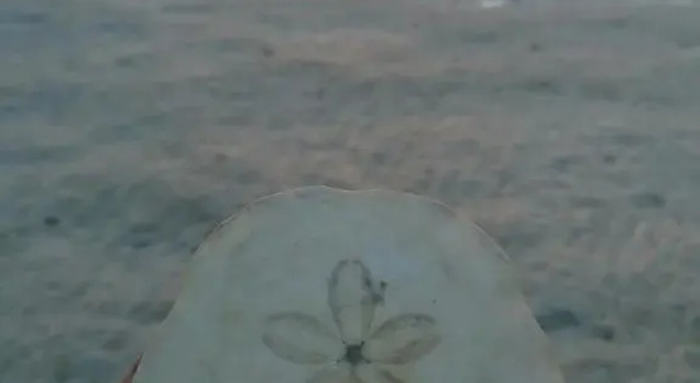 Masirah Beach camp, Rezervovat Hotel Al Qārin Masirah